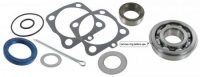 Radlagerset Pendelachse hinten / Komplett-Set Bild 1